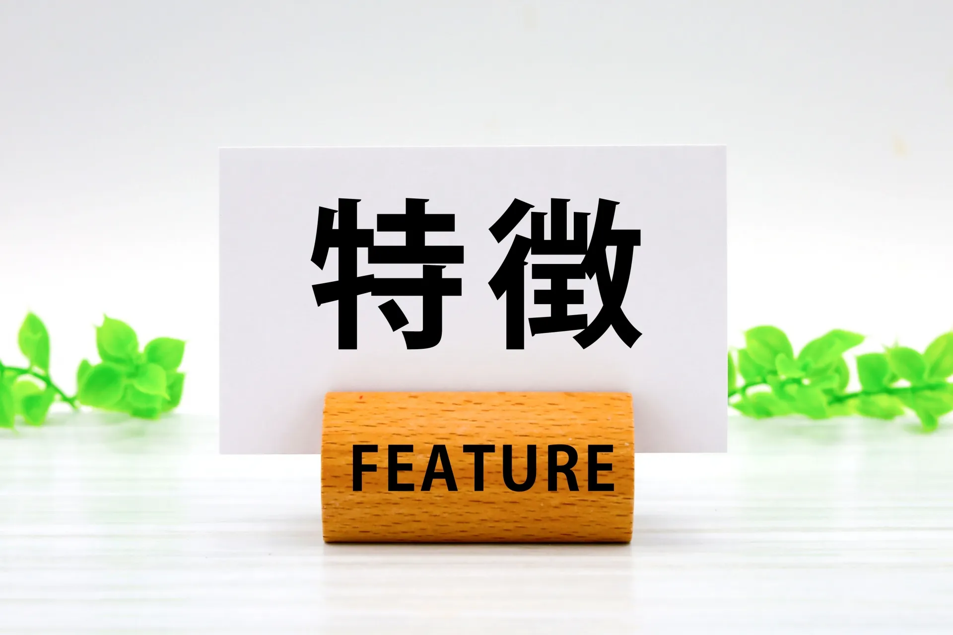 教習所ローンの主な種類と特徴