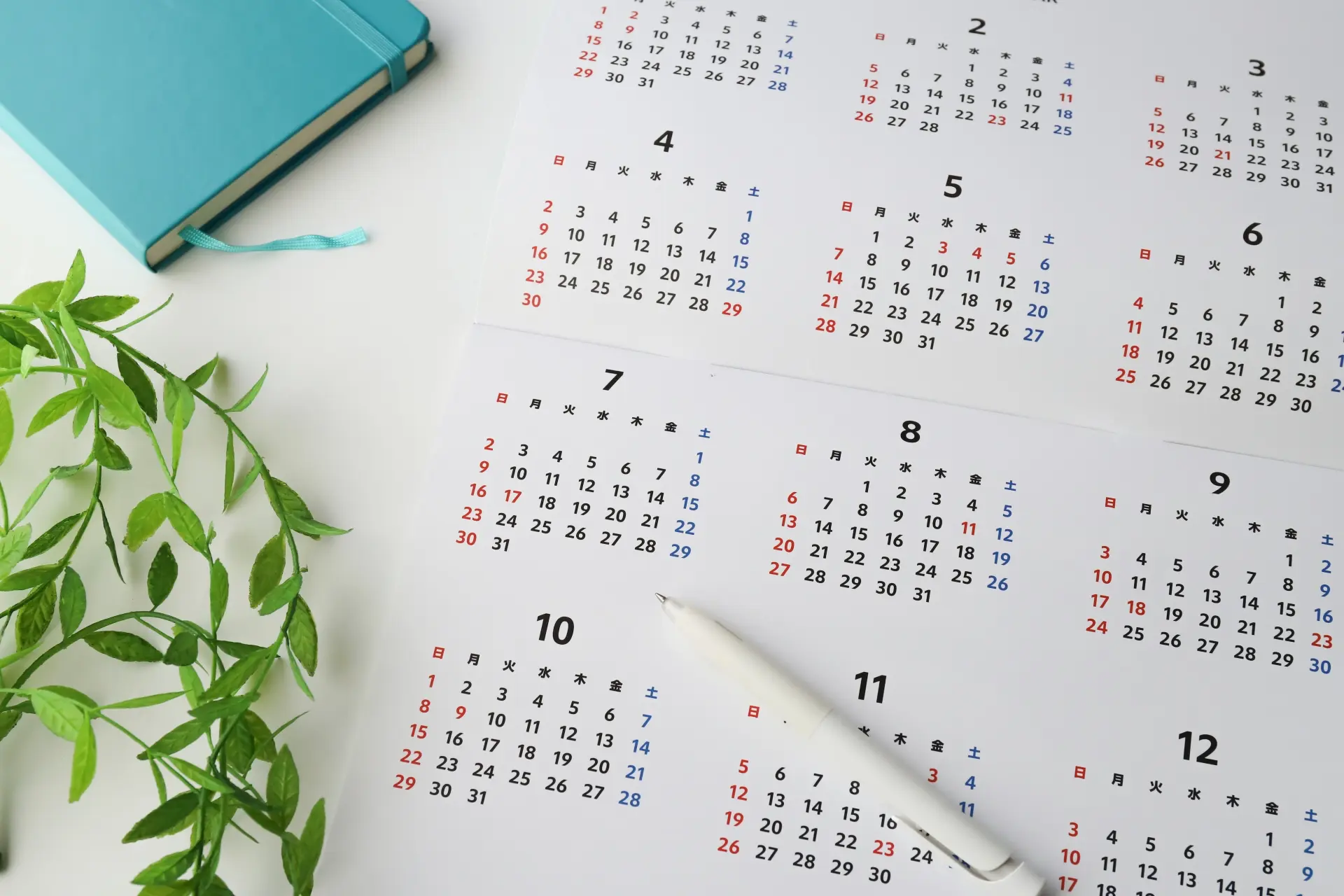 自動車教習所が空いている時期はいつ？年間の目安を解説