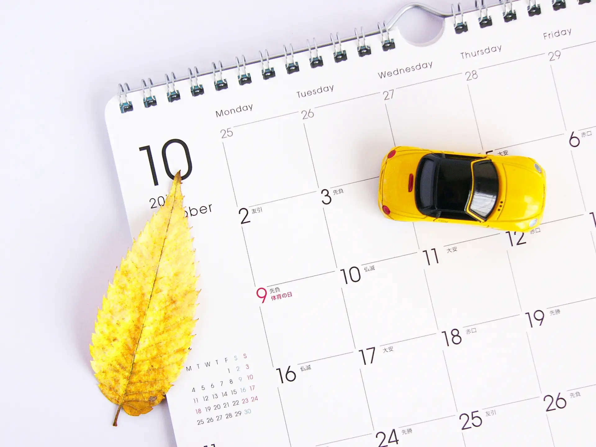 自動車免許は何歳から取るのがベスト？おすすめの時期はいつ？