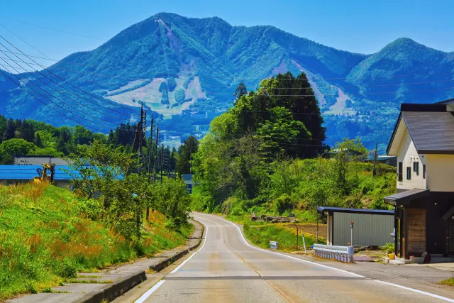 法定速度30km/hの対象になる道路・ならない道路の見分け方